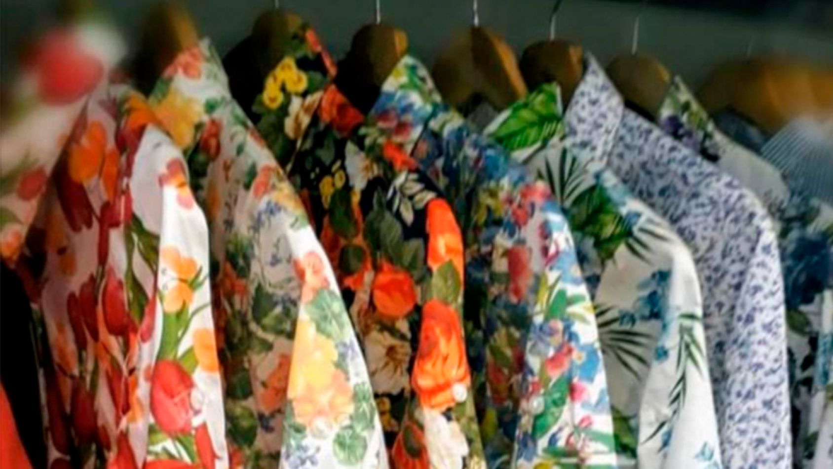 Guía: Estilo Polo, Salta Salta | ESTILO DV